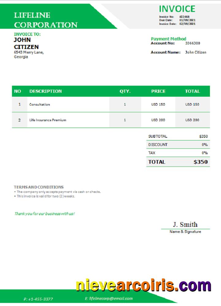 Georgia Lifeline Corporation invoice